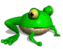 FROG WISDOM